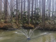 -上海怡沁园度假酒店
