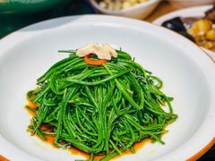 -蒙料·手把肉(望京店)