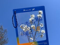 -南翠屏公园