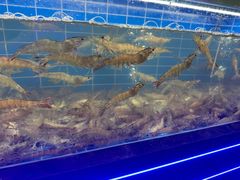 -0048鲜活香辣虾·火锅(铜陵路店)