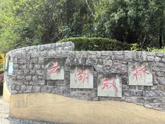 -重庆彩云湖湿地公园
