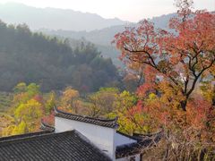-塔川景区
