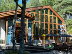 -洛阳白云山景区