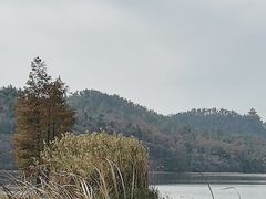 -东湖落雁景区