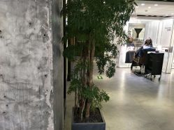 -AYO SALON