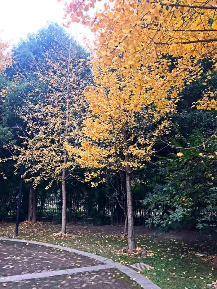 延庆观炸鸡(花台店)-"荆州花台店延庆观炸鸡,一家老店,荆州中心.
