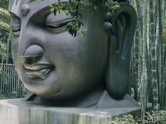 -杭州植物园