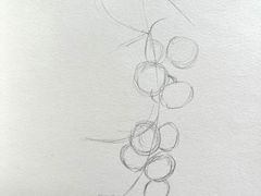-六出私塾LiuChu•成人美术书法系统课程专业画室(熊婆婆的花园店)