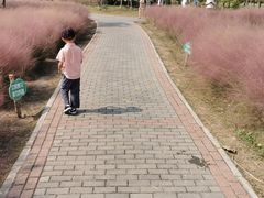 -南湖湿地公园