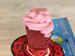 -麦当劳(塔园路店)