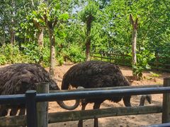 -大连森林动物园