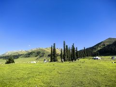 -新疆那拉提国家旅游度假区