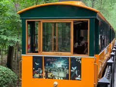 -合肥滨湖国家森林公园