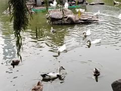 -团结湖公园