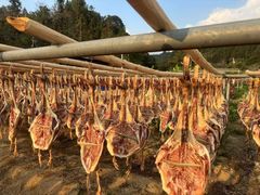 -海泉湾竹筒饭·瘦身水库大头鱼(从化温泉镇店)