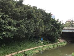 -深圳市罗湖体育馆