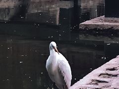 -西安市长乐公园