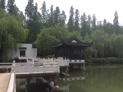 -浮庄