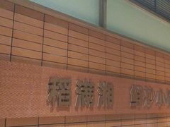 -高嗲嗲·现炒下饭菜(石鼓路店)