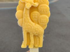 -黄龙溪欢乐田园
