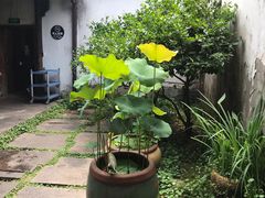 -院子餐厅·大锅菜·老杭帮(桥西直街店)