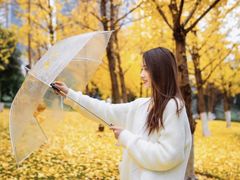 -重庆市江北嘴中央商务区中央公园