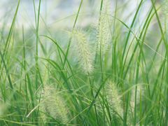 -宁波儿童公园(鄞州区)