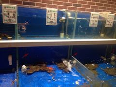 -姜君·千岛湖鱼头馆(浦东大道店)