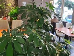 -纪林菜馆·博山菜老字号(华光路店)