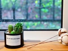 -COTTON CAFE(德信·中外公寓店)