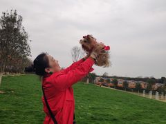 -武汉紫薇都市田园