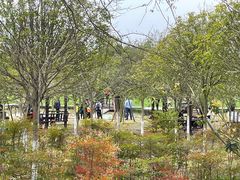 -武汉紫薇都市田园