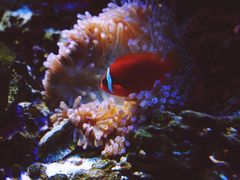 -左海海底世界