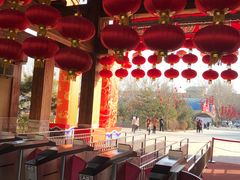 -南宫五洲植物乐园