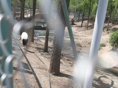 -大青山野生动物园