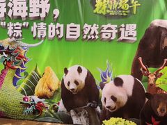 -海南热带野生动植物园