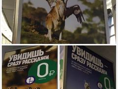 -谢列梅捷沃国际机场