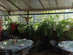 -野蔓果·山野菜(西湖景区·龙井茶田店)