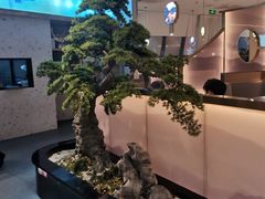 -马家斑.鲜鱼火锅(松湖万科店)