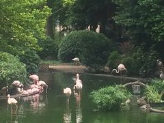 -九龙公园