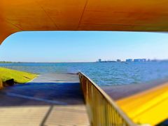 -春花秋色城市公园