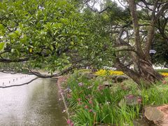 -江心屿景区