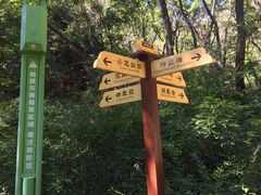 -老象峰