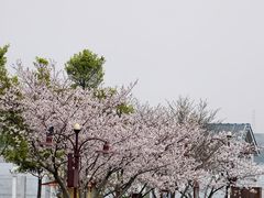 -迪士尼小镇