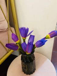 -美肤盾祛痘·问题肌头疗管理中心