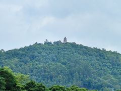 -顺峰山公园