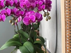 -茹·pure vegan(博华广场店)