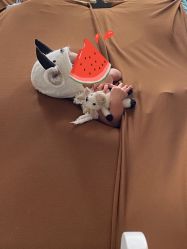 -西瓜庄园儿童摄影