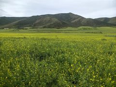 -扁都口生态休闲旅游区