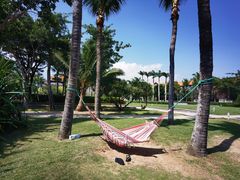 -三亚海棠湾万丽度假酒店